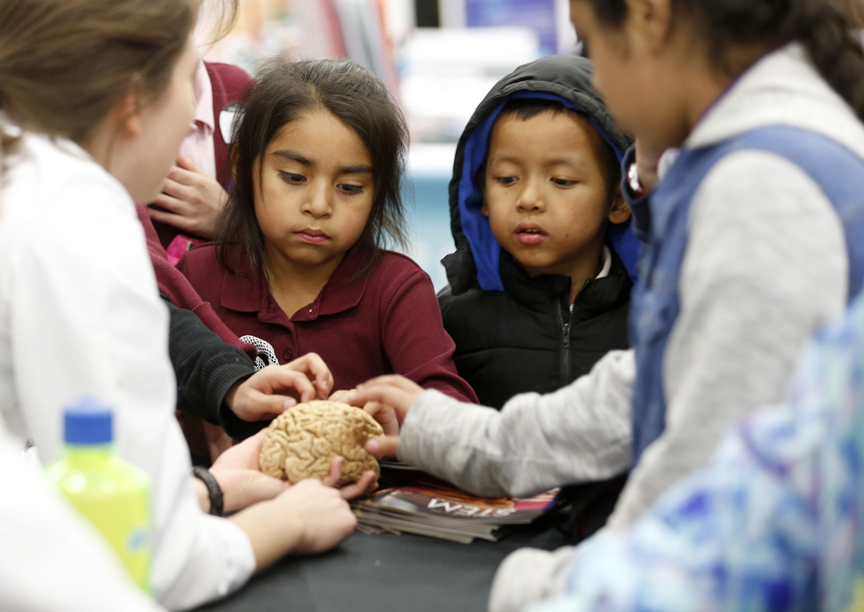 STEM Festival